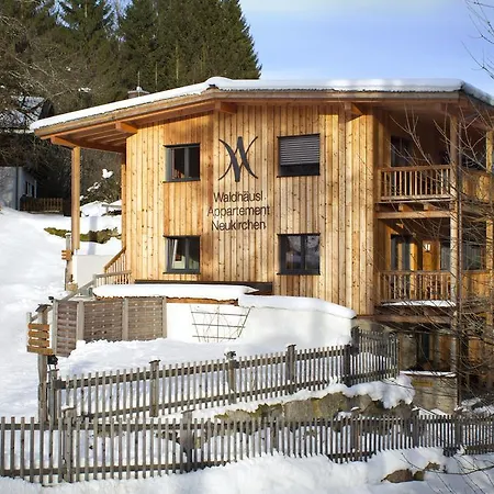 Apartment Waldhausl Neukirchen am Grossvenediger